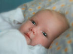 babyborrel